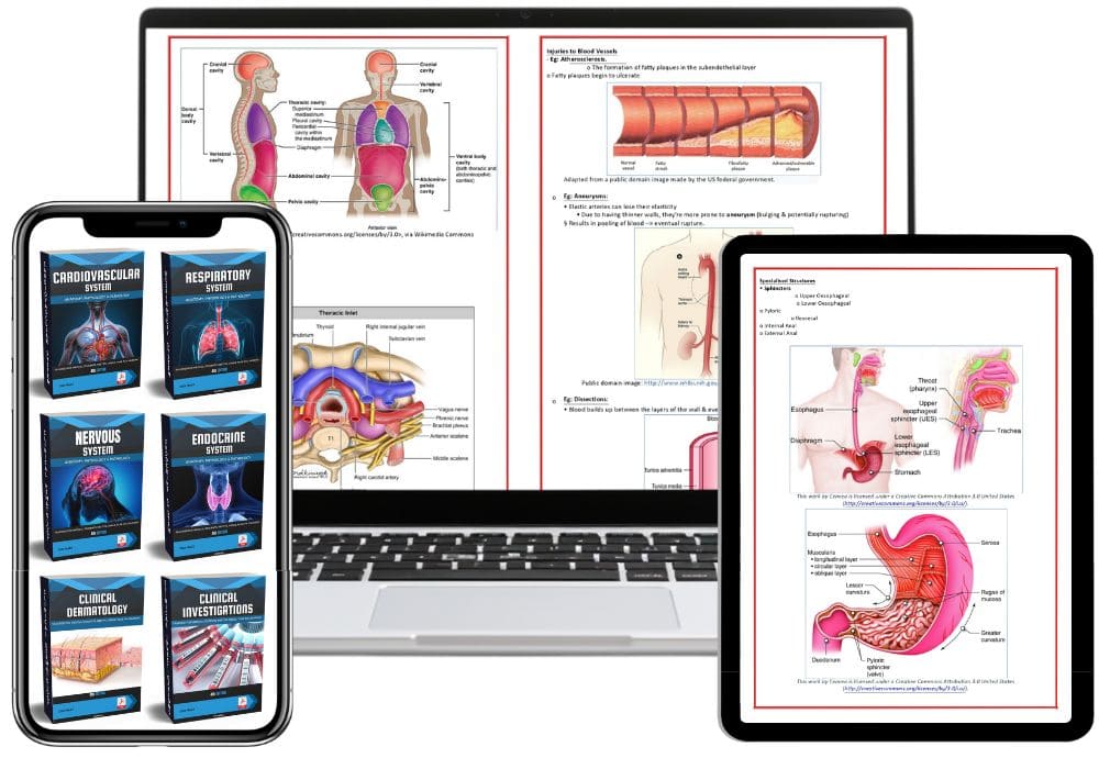 All 21 Medical Notes Bundle